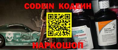 мдпв Кингисепп