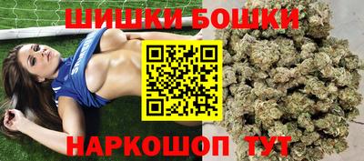 мдпв Кингисепп