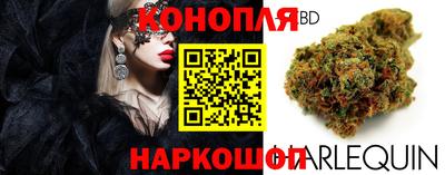 мдпв Кингисепп