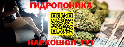 мдпв Кингисепп