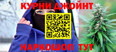 мдпв Кингисепп