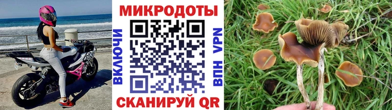 Псилоцибиновые грибы Psilocybe  площадка как зайти  Уварово  продажа наркотиков 