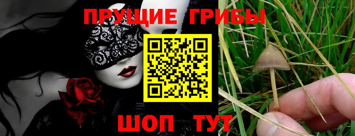 Псилоцибиновые грибы мицелий  Галлюциногенные грибы ЛСД  Вход с VPN  Уварово 